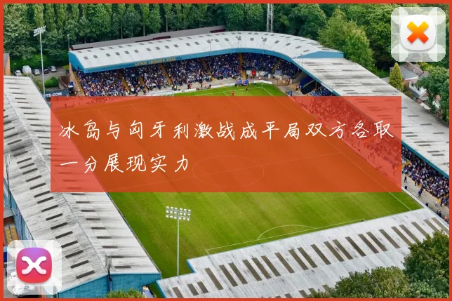 冰岛与匈牙利激战成平局双方各取一分展现实力