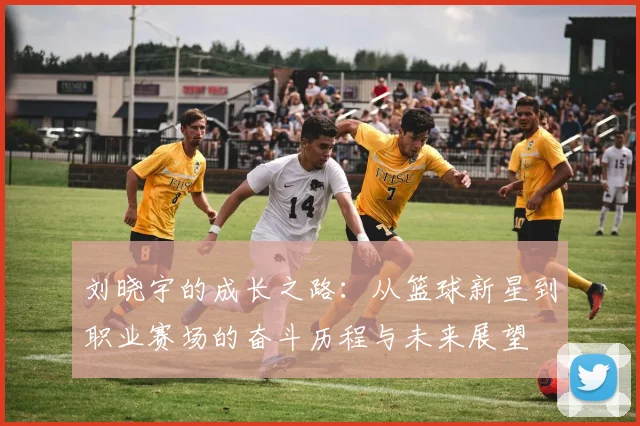 刘晓宇的成长之路：从篮球新星到职业赛场的奋斗历程与未来展望