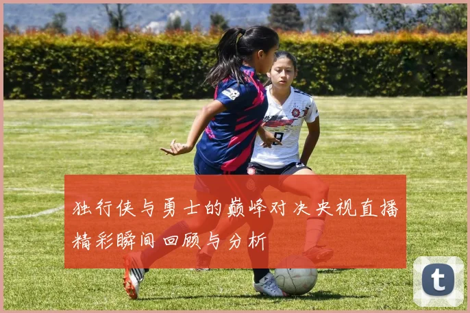 独行侠与勇士的巅峰对决央视直播精彩瞬间回顾与分析