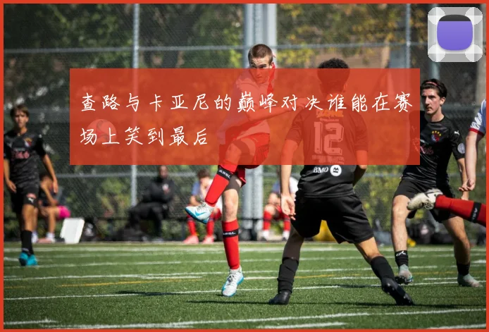 查路与卡亚尼的巅峰对决谁能在赛场上笑到最后