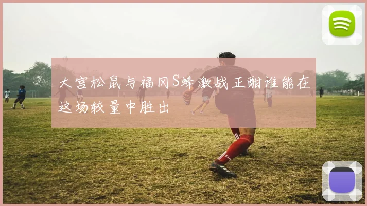 大宫松鼠与福冈S蜂激战正酣谁能在这场较量中胜出